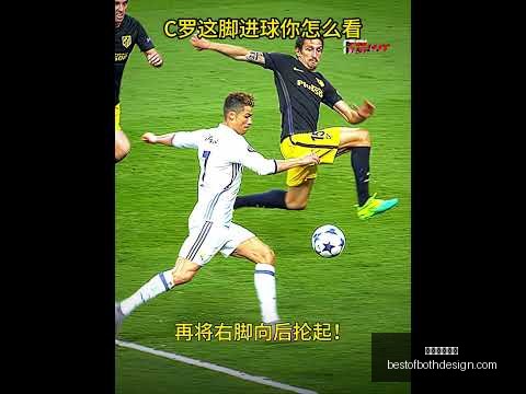 约基奇中国,全明星盛况,球迷热切期,星空体育官网,星空体育App,星空体育直播,星空体育平台,星空体育官方